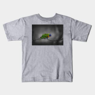 Rainbow Lorikeet_5159A Kids T-Shirt